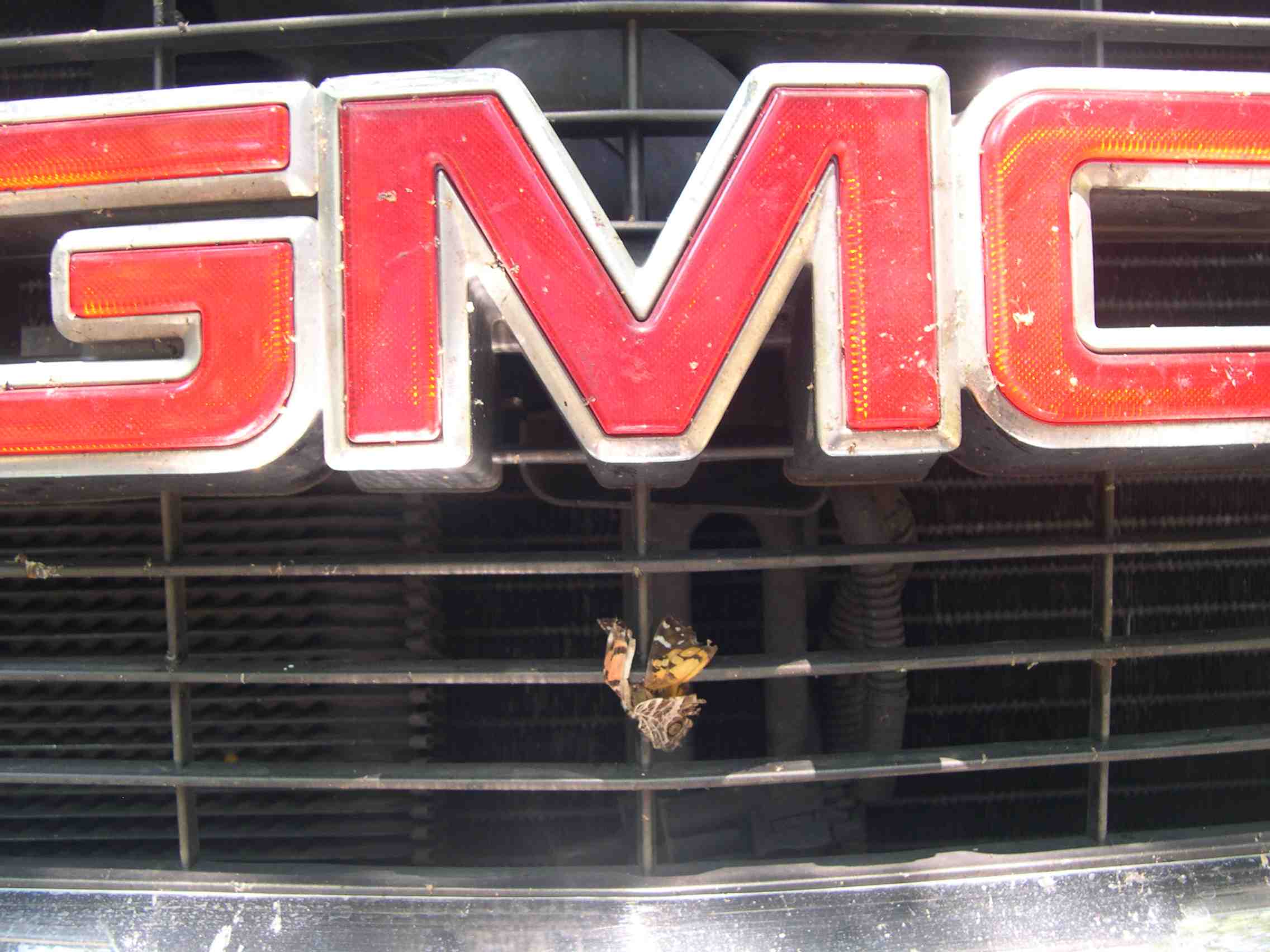 GMC and bug low res.jpg